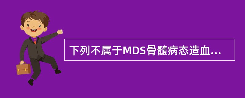 下列不属于MDS骨髓病态造血的细胞的是（　　）。