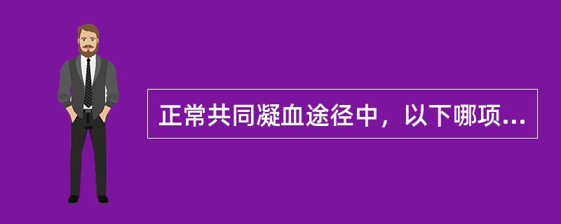 正常共同凝血途径中，以下哪项是正确的？（　　）