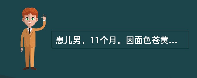 患儿男，11个月。因面色苍黄、智力发育倒退1个月，发热、咳嗽3天就诊。营养发育史：3～4个月能抬头，现11个月不能独坐，不会爬。面部表情呆滞。人工喂养，未添加辅食。查体：生长发育可，体重7.5kg，表