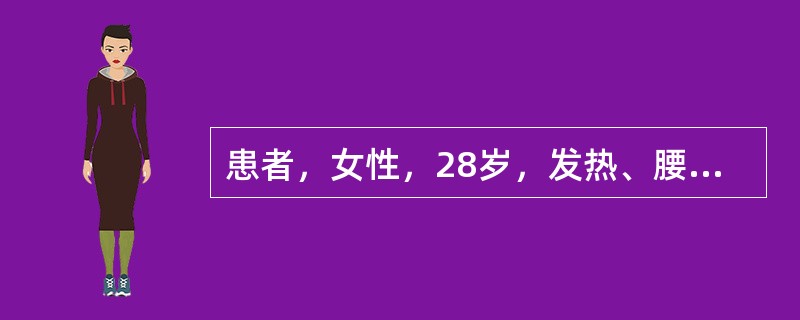 患者，女性，28岁，发热、腰痛、伴巩膜发黄1周，两年来有类似发作史，无酱油色尿，血红蛋白70g/L，网织红细胞18%，骨髓红系明显增生，尿胆原和尿胆素阳性，尿含铁血黄素试验阴性，该患者的可能诊断为（　