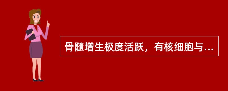 骨髓增生极度活跃，有核细胞与成熟红细胞的比例为（　　）。