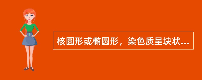 核圆形或椭圆形，染色质呈块状，核仁消失，胞浆嗜多色性，符合以下哪种细胞的特点？（　　）