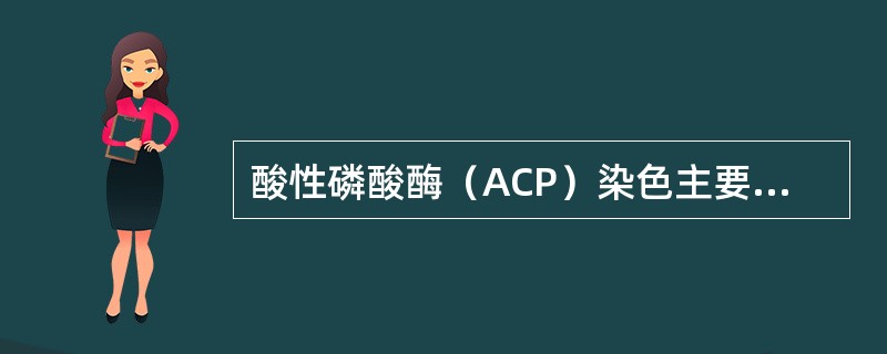 酸性磷酸酶（ACP）染色主要用于（　　）。