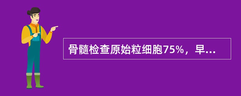 骨髓检查原始粒细胞75%，早幼粒2%，中性杆状核粒细胞3%，中性分叶核粒细胞12%，红细胞系统占8%，最可能的诊断为（　　）。