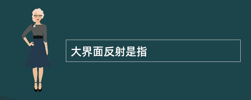 大界面反射是指