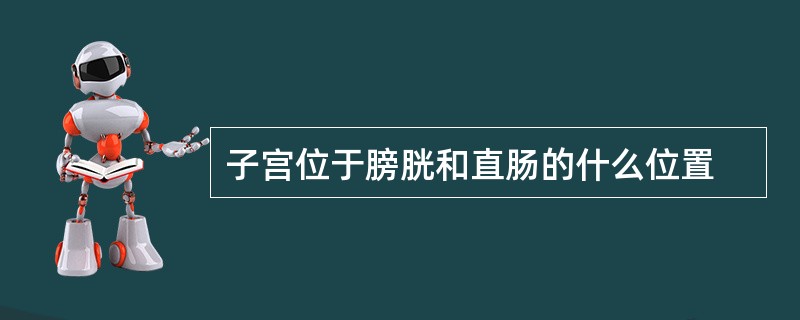 子宫位于膀胱和直肠的什么位置