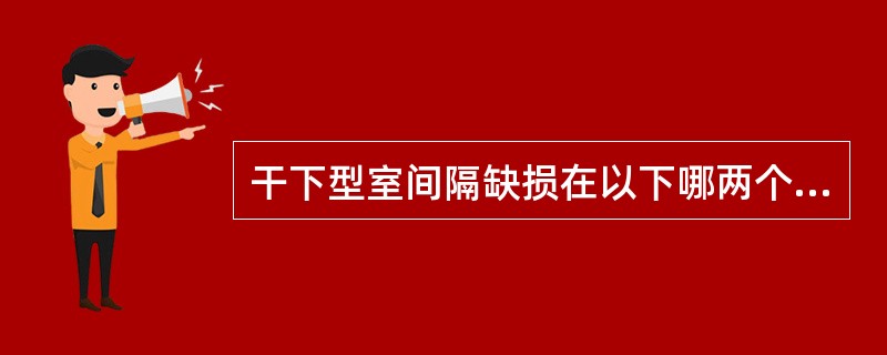 干下型室间隔缺损在以下哪两个切面显示最清楚