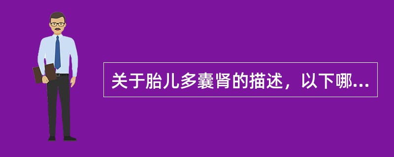 关于胎儿多囊肾的描述，以下哪项正确