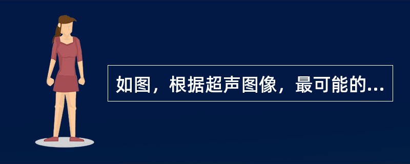 如图，根据超声图像，最可能的诊断是（　　）。<br /><img border="0" style="width: 369px; height: 286