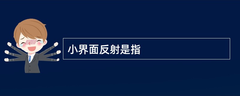 小界面反射是指