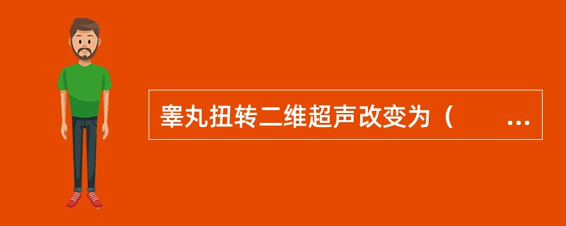 睾丸扭转二维超声改变为（　　）。