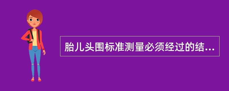 胎儿头围标准测量必须经过的结构是（　　）。