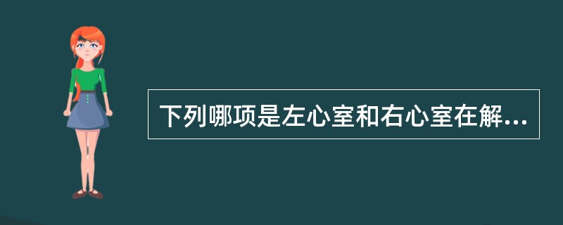 下列哪项是左心室和右心室在解剖上的主要区别？（　　）