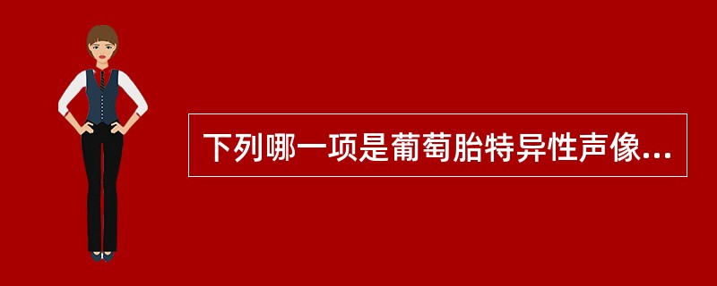 下列哪一项是葡萄胎特异性声像图表现？（　　）