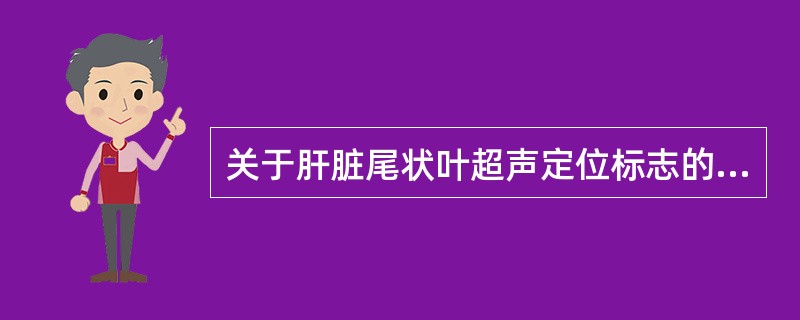 关于肝脏尾状叶超声定位标志的描述，错误的是（　　）。