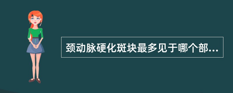 颈动脉硬化斑块最多见于哪个部位？（　　）