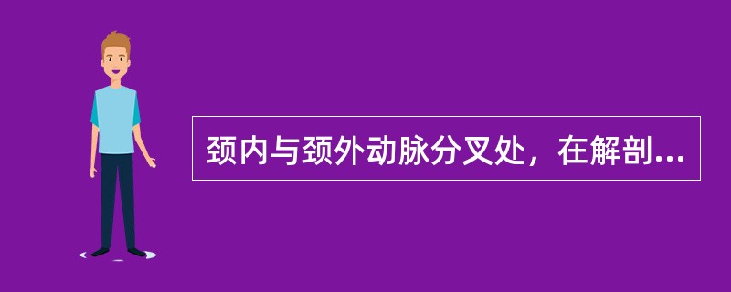颈内与颈外动脉分叉处，在解剖学上称作（　　）。