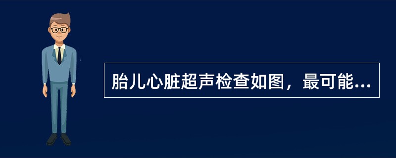 胎儿心脏超声检查如图，最可能的诊断是（　　）。<br /><img border="0" style="width: 425px; height: 32