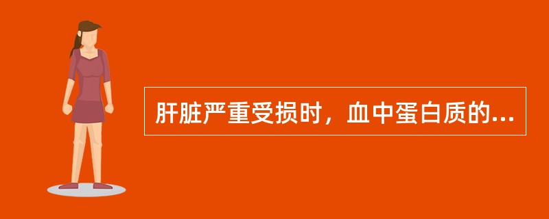 肝脏严重受损时，血中蛋白质的主要改变是（　　）。