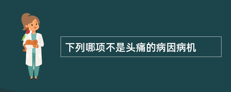 下列哪项不是头痛的病因病机