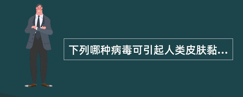 下列哪种病毒可引起人类皮肤黏膜疣状病变？（　　）