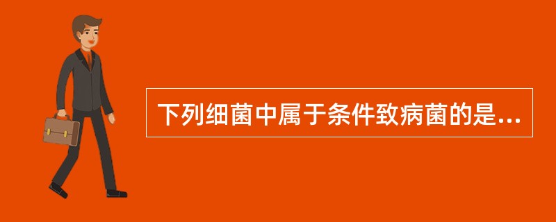 下列细菌中属于条件致病菌的是（　　）。