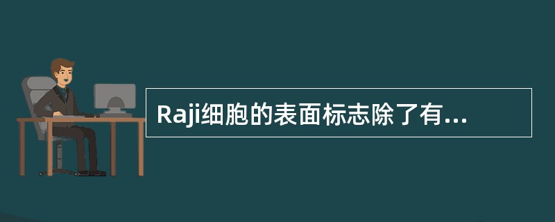 Raji细胞的表面标志除了有C3b受体，没有SmIg外应（　　）。