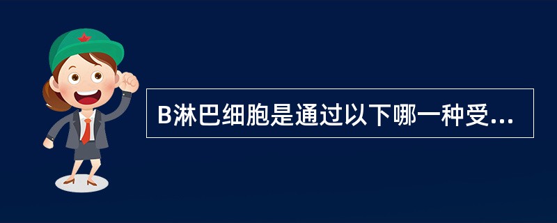 B淋巴细胞是通过以下哪一种受体特异性识别抗原的？（　　）