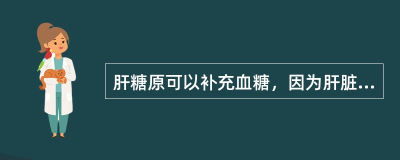 肝糖原可以补充血糖，因为肝脏有（　　）。
