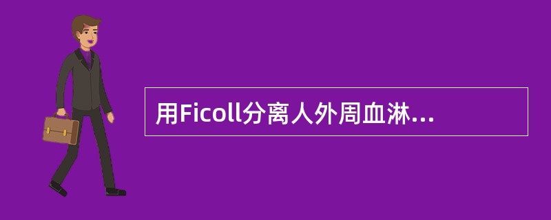 用Ficoll分离人外周血淋巴细胞时离心后，细胞分布情况正确的是（　　）。