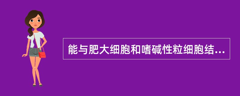 能与肥大细胞和嗜碱性粒细胞结合的Ig是（　　）。