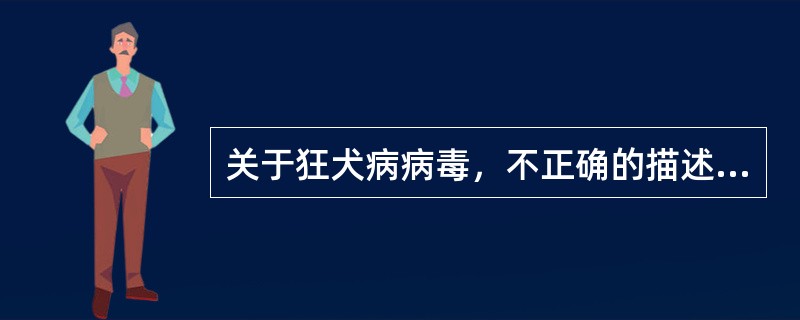 关于狂犬病病毒，不正确的描述是（　　）。