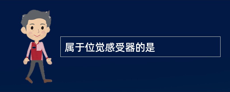 属于位觉感受器的是