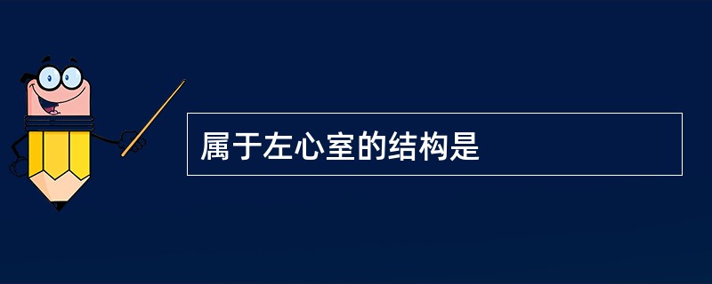 属于左心室的结构是