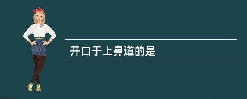 开口于上鼻道的是