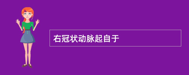 右冠状动脉起自于