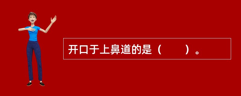 开口于上鼻道的是（　　）。