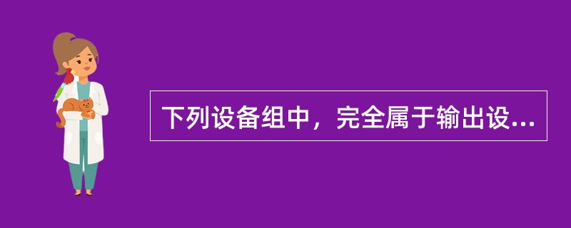 下列设备组中，完全属于输出设备的一组是