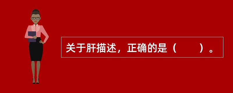 关于肝描述，正确的是（　　）。