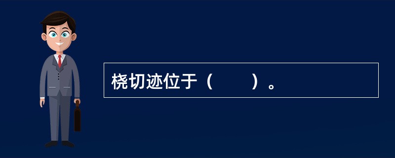 桡切迹位于（　　）。