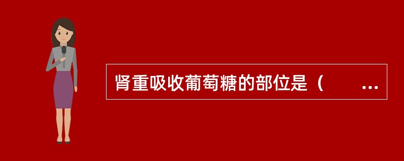 肾重吸收葡萄糖的部位是（　　）。