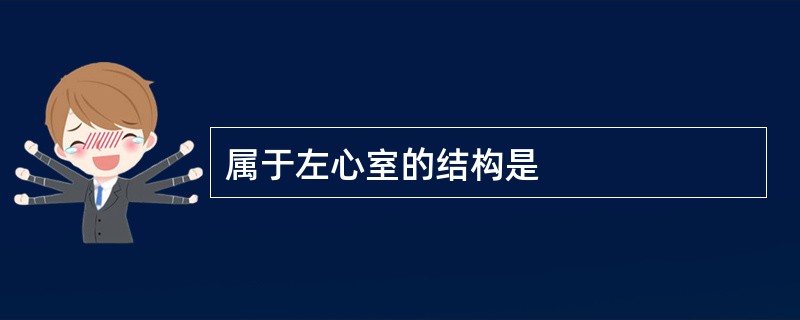 属于左心室的结构是