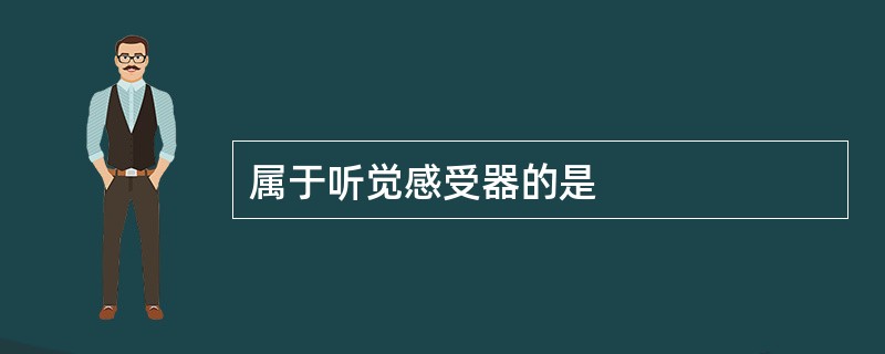 属于听觉感受器的是