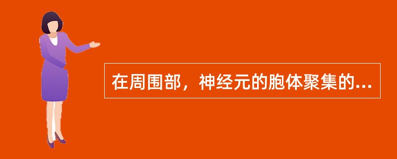 在周围部，神经元的胞体聚集的部位称