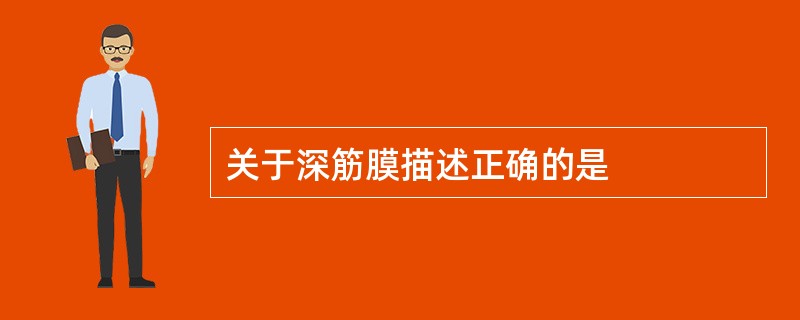 关于深筋膜描述正确的是