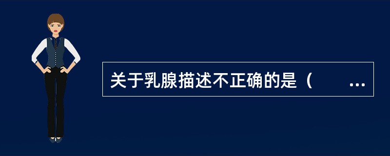 关于乳腺描述不正确的是（　　）。