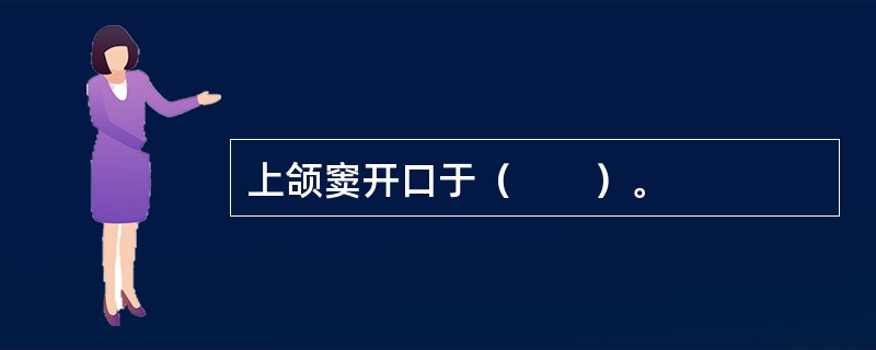 上颌窦开口于（　　）。