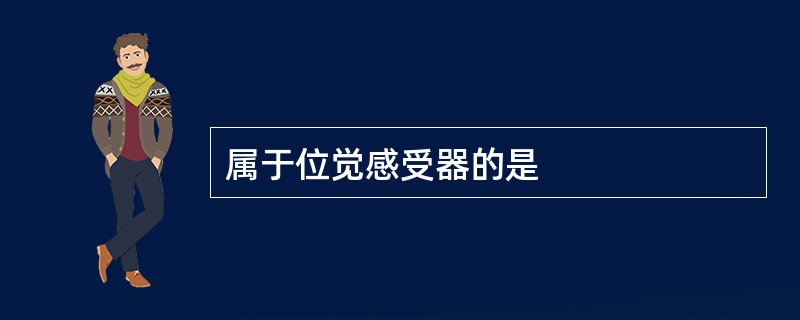 属于位觉感受器的是