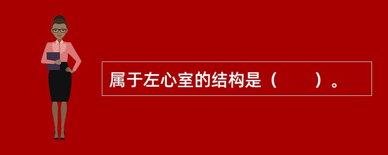 属于左心室的结构是（　　）。