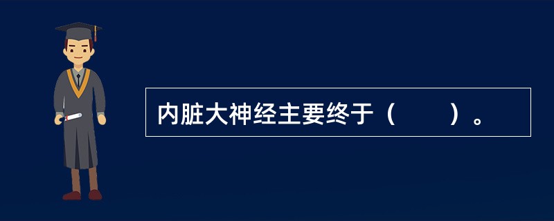 内脏大神经主要终于（　　）。